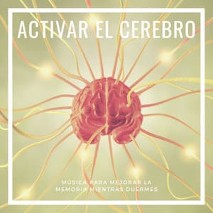 Activar el Cerebro: Música para Mejorar la Memoria mientras Duermes - Nuevas Luces