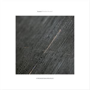 Struktura Revisited - Scanner