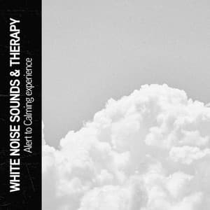 White Noise Sounds & Therapy: Alert to Calming experience - Ruido Blanco Hart