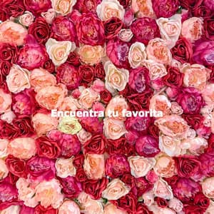 Encuentra tu favorita - Música para Tiendas Ambiente