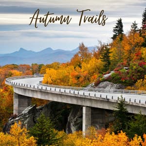 Autumn Trails - Ocean Sounds ACE