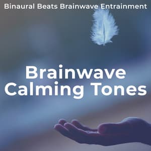 Brainwave Calming Tones - Binaural Beats Brainwave Entrainment
