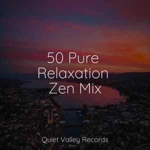 50 Pure Relaxation Zen Mix - Baby Sleep Music