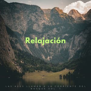 Relajación: Las Aves Llaman A La Corriente Del Bosque Vol. 1 - Estados de ánimo y sonidos de agua
