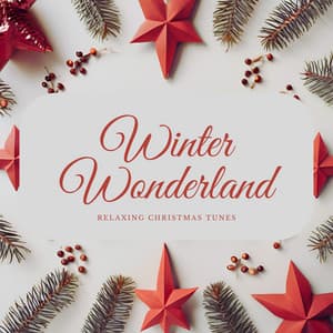 Winter Wonderland: Relaxing Christmas Tunes - Coral Infantil de Navidad