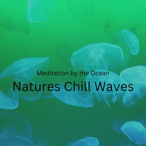Meditation by the Ocean: Natures Chill Waves - Night Sounds Association