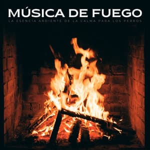 Música De Fuego: La Esencia Ardiente De La Calma Para Los Perros - Sonidos de fuego de llamas del amanecer