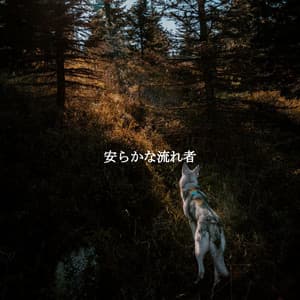 安らかな流れ者 - New York Steakhouse Jazz