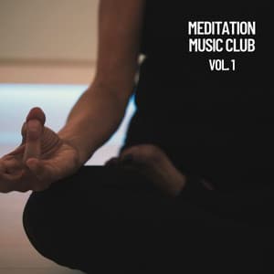 Relaxation: Club de musica de meditacion, Vol. 1 - Nature Sounds Nature Music