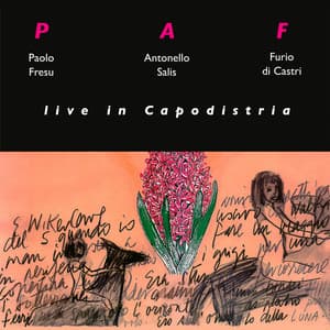 Live in capodistria - Paf (Paolo Fresu