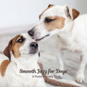 Smooth Jazz for Dogs: A Piano-Friendly Tone - New York Cafe Playlist