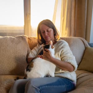 Tonos Serenos Para Gatos En Tiempo Tranquilo - Encontrar frecuencia