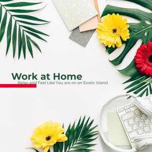 Work at Home, Relax and Feel Like You are on an Exotic Island - Relaxing Office Music Collection