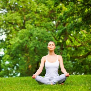 Rainy Calm and Piano Meditation - The Rain Main