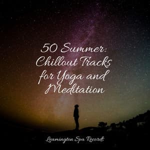 50 Summer: Chillout Tracks for Yoga and Meditation - ASMR Sleep Sounds