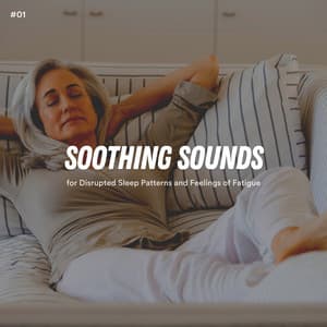 #01 Soothing Sounds for Disrupted Sleep Patterns and Feelings of Fatigue - Loopable White Noise