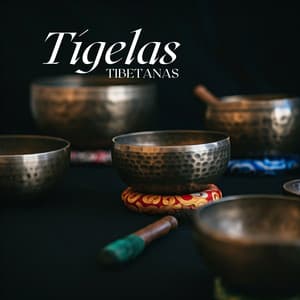 Tigelas Tibetanas: Instrumentos de Paz e Cura - Relaxar Bem Estar Clube