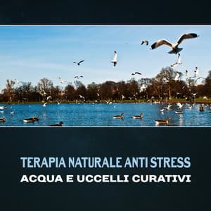 Terapia naturale anti stress - Acqua e uccelli curativi, Musica di rilassamento, Suoni della natura per il sonno, Collezione benessere - Meditazione asiatica club