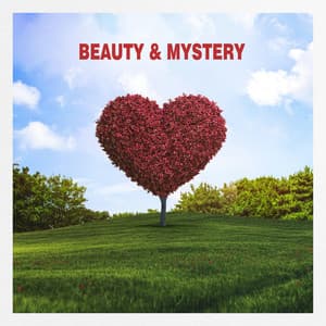 Beauty & Mystery - Universal Connection