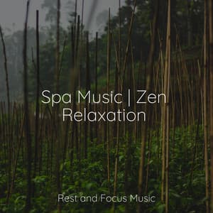 Spa Music | Zen Relaxation - Relaxing Mindfulness Meditation Relaxation Maestro