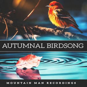Autumnal Birdsong - Mountain Man Recordings