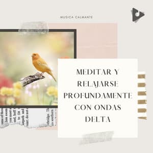 Meditar y Relajarse Profundamente Con Ondas Delta - Música Calmante