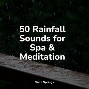 50 Rainfall Sounds for Spa & Meditation - Nature's Symphony