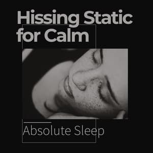 Hissing Static for Calm - Absolute Sleep