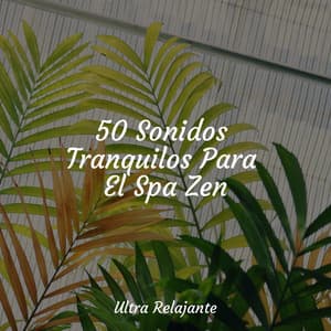 50 Sonidos Tranquilos Para El Spa Zen - Master Meditação