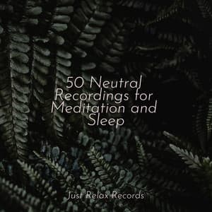 50 Neutral Recordings for Meditation and Sleep - Nursery Rhymes Club