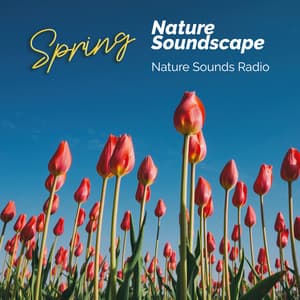 Spring Nature Soundscape - Nature Sounds Radio