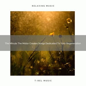 2020 Best: The Minute The Motor Creates Songs Dedicated To Your Regeneration - Rain Spa