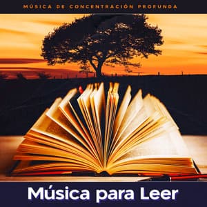 Música para Leer - Música de concentración profunda