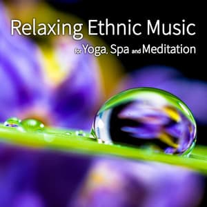 Relaxing Ethnic Music for Yoga, Spa and Meditation - Meditation Music Academy