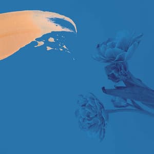 Deluxe Background Music for Lighting Skies - Java Jazz Cafe