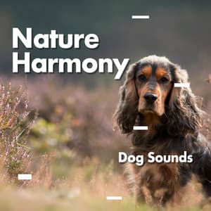 Nature Harmony - Dog Sounds