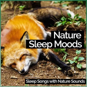 Nature Sleep Moods - Sleep Songs with Nature Sounds