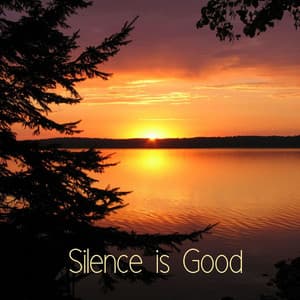 Silence is Good - Tranquility Spree