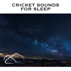Cricket Sounds For Sleep - Cricket Sounds