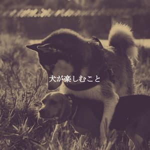 犬が楽しむこと - Cafe Smooth Jazz Playlist All-stars