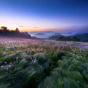 Music For Magical Moments And Quiet Reflections - Relaxing Music Radio