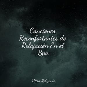Canciones Reconfortantes de Relajación En el Spa - Meditação Zen