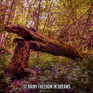 32 Rainy Freedom In Dreams - Rain Sounds Factory STHLM