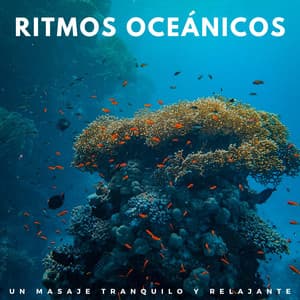 Ritmos Oceánicos: Un Masaje Tranquilo Y Relajante - Hacedores de océanos