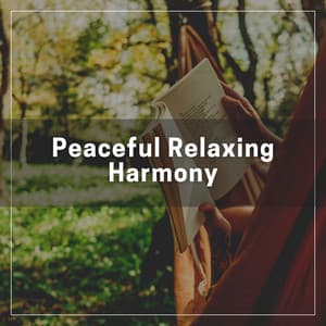 Peaceful Relaxing Harmony - Oasis of Relaxation Meditation