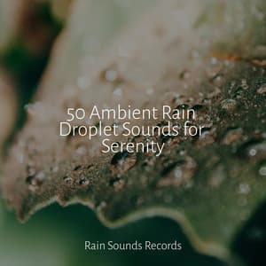 50 Ambient Rain Droplet Sounds for Serenity - Cascada de Lluvia