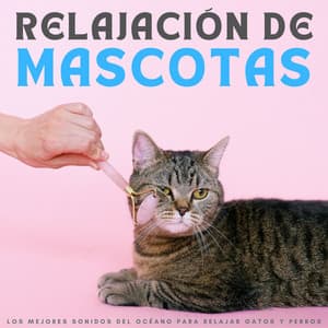 Relajación De Mascotas: Los Mejores Sonidos Del Océano Para Relajar Gatos Y Perros - Biblioteca de Música Para Mascotas