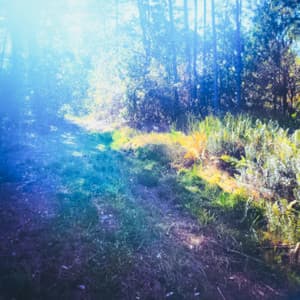 Gentle Persuasion - Byelti