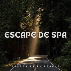 Escape de Spa: Sueños en el Bosque - Toque de la naturaleza