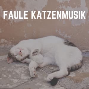 Faule Katzenmusik - Katzenmusik